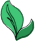 Illustration of organic leafs
