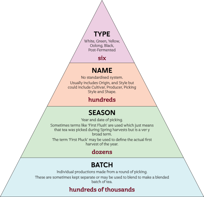 Tea Hierarchy.png