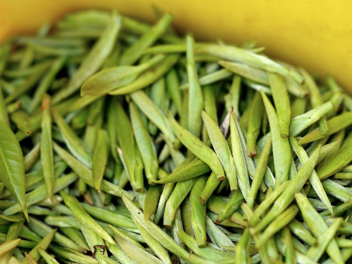 tea-batches.JPG