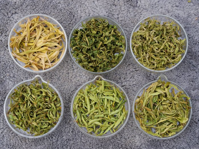 green-tea-types.jpg