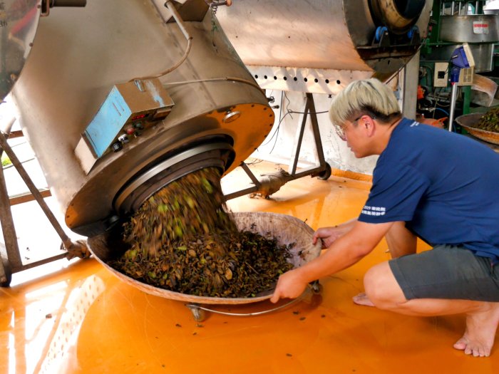 oolong-tea-producer.jpg
