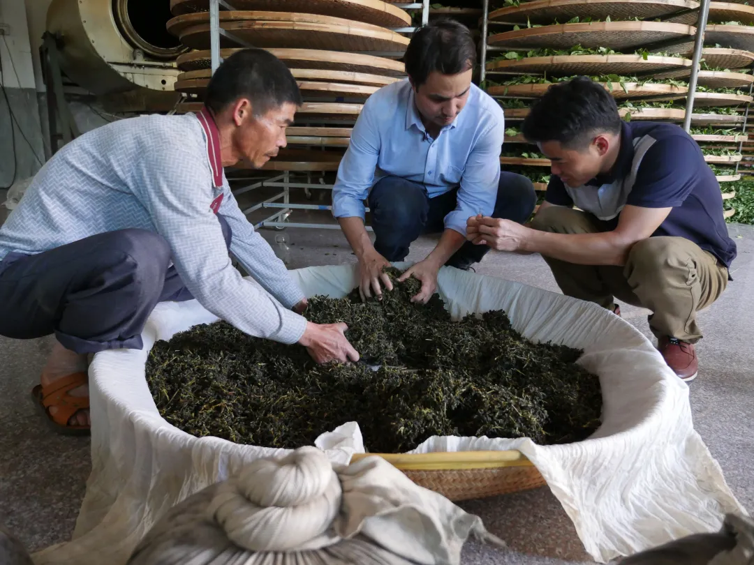 oolong-tea-producers.JPG