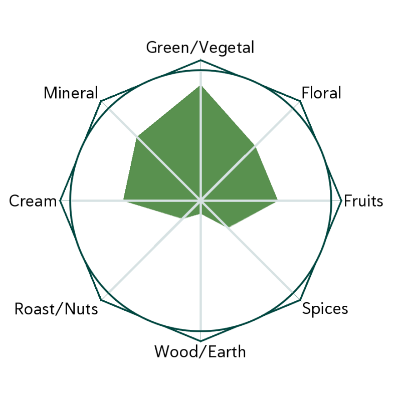 Yame Saemidori Sencha Flavour Wheel