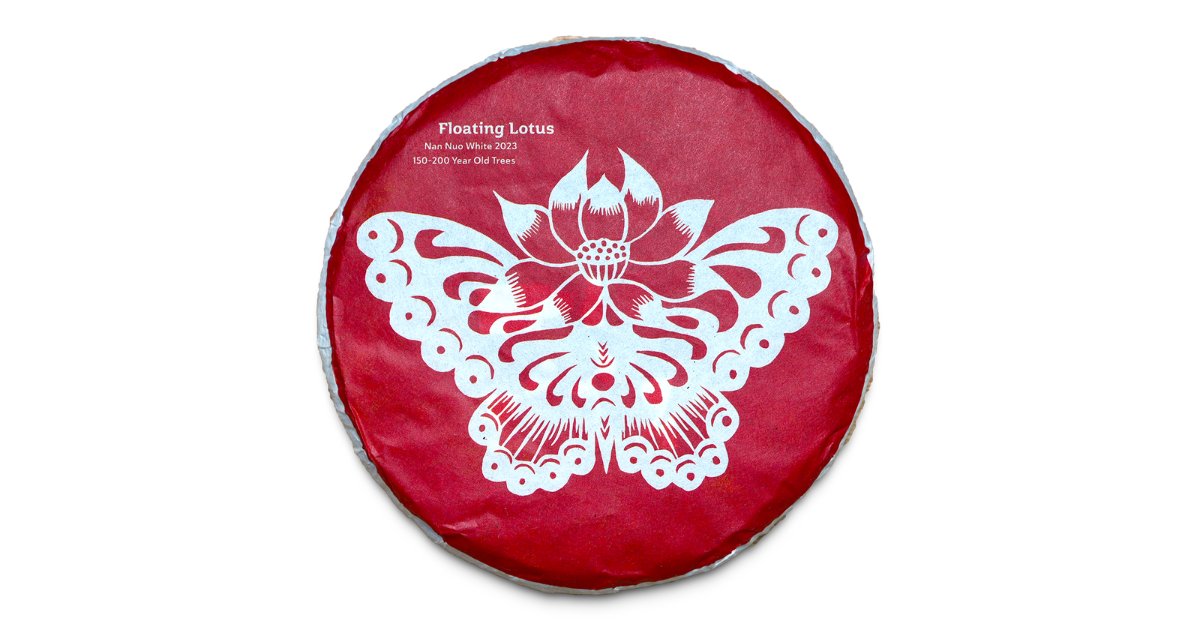 Floating Lotus