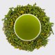 Genmai Matcha, tea leaves and steeped liquor