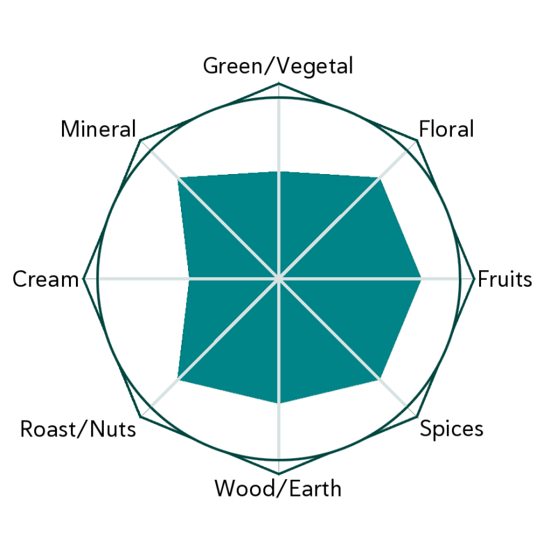 Source Projector Flavour Wheel