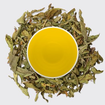 Lemon Verbena