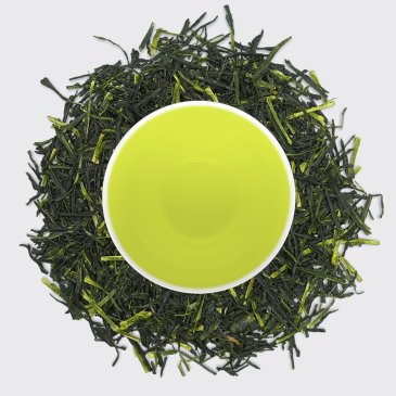 Night Flower Sencha