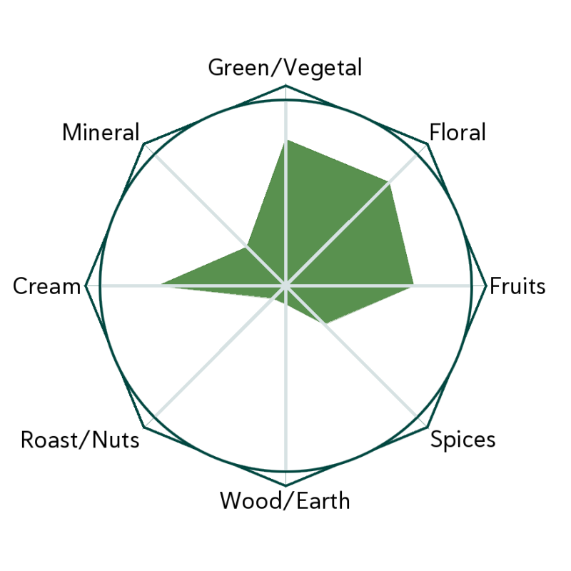Asahina Gyokuro Flavour Wheel