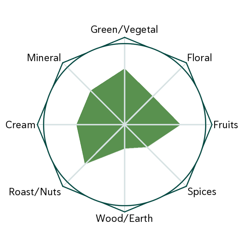 Melon Seed Green Flavour Wheel