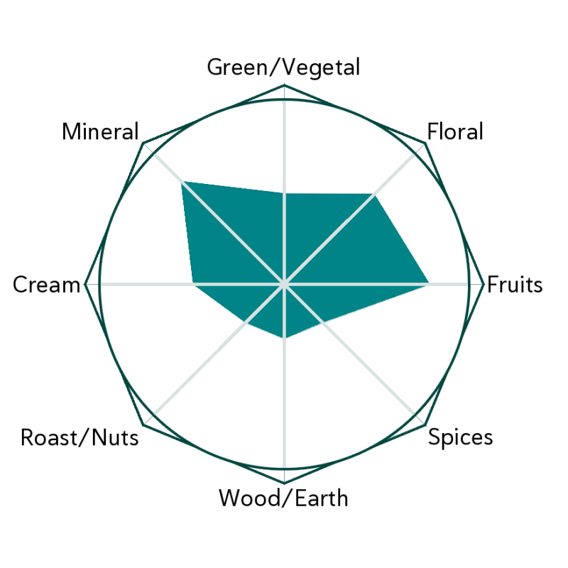 Jam Ambassador Flavour Wheel