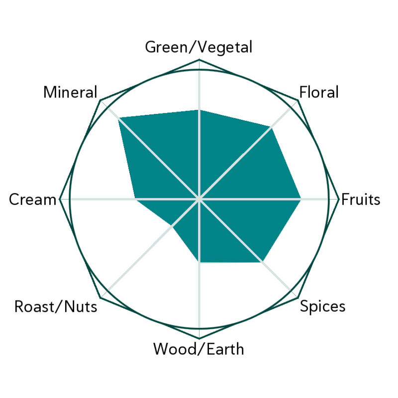 Bliss Beholder Flavour Wheel