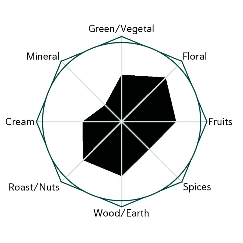 Midori Black Flavour Wheel