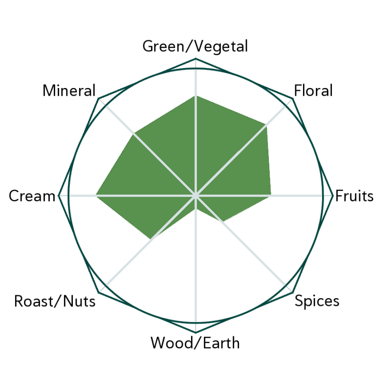 Green Coil - Pre Qing Ming Flavour Wheel