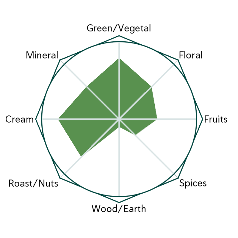 Uji Saemidori Matcha Flavour Wheel