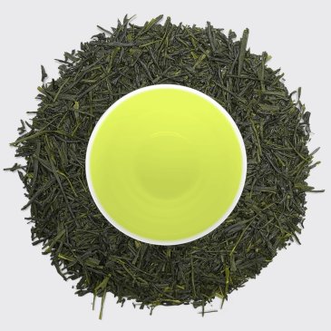 Jam Rock Sencha