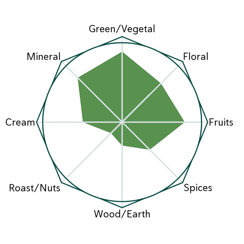 Jam Rock Sencha Flavour Wheel
