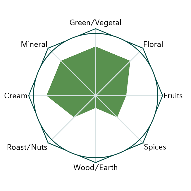 Kagoshima Saemidori Matcha Flavour Wheel